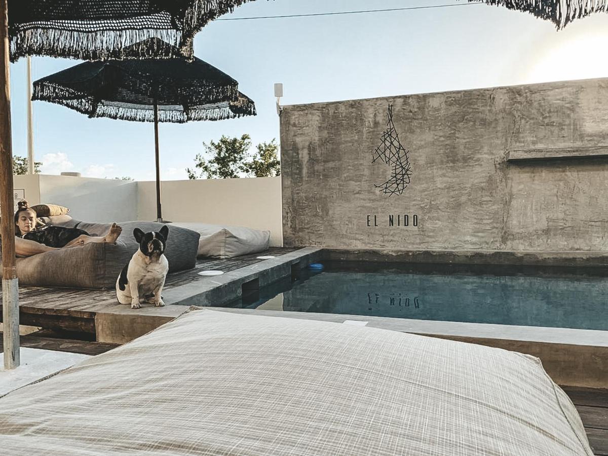 Hotel EL NIDO Holbox Exterior foto