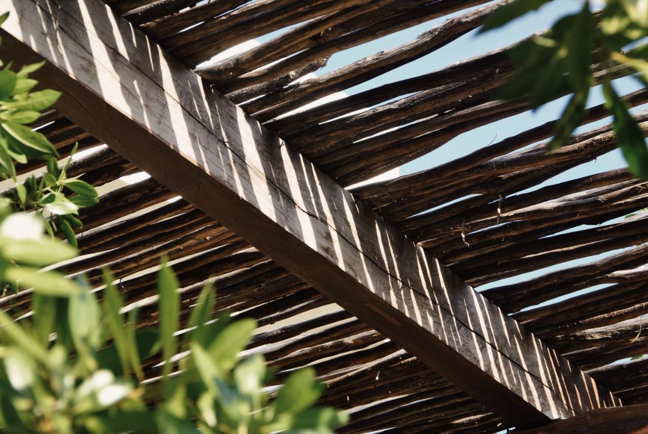Hotel EL NIDO Holbox Exterior foto